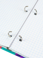 Тетрадь А4 120л кл. на кольцах Проф-Пресс "Дерзкое граффити-4"