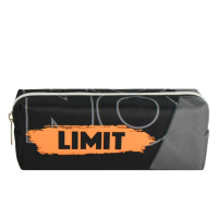 Пенал-косметичка (195*55*65) молния, ткань "Нет границ"