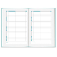 Ежедневник школьника А5 64л., тв.пер.,"Нежные цвета" мат.лам., тисн. фольгой, голубой