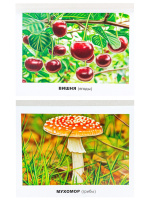 Наглядно-дидактическое пособие "Грибы и ягоды"