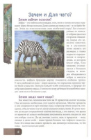 Книжка А4  32стр. "Энциклопедия. В мире знаний. В вопросах и ответах"