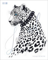 Тетрадь А5 48л кл. Hatber "Грезы и мечты" мат.лам., 3Dфольга, 5диз.в блоке