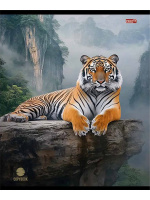 Тетрадь А5 48л кл. Проф-Пресс "Разные хищники" 5диз.в спайке, белизна 100%