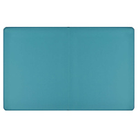 Дневник универсальн. обл.кожзам, тв.пер. "Котик" аппликация, ляссе, 48л.