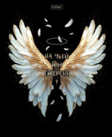 Тетрадь А5 48л кл. Hatber "Крылья ангела" мат.лам., 3Dфольга, 5диз.в блоке