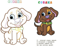 Книжка-раскраска 205*285мм  12стр."Мои любимые животные"