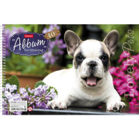 Альбом А4 40л  гребень "Любимцы"  пл. 100 г/м