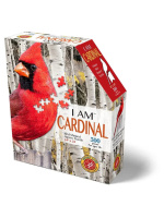 Контурный пазл  300 дет.  35*61см "Кардинал"