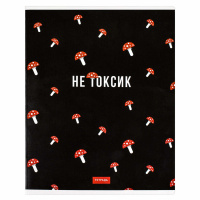 Тетрадь А5 48л кл. Феникс+ "Герои с характером" выб.твин-лак, бел.100%
