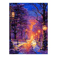 Живопись по номерам с акрилом 30*40см "Зимний парк"