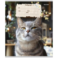 Тетрадь А5 12л косая лин. с доп.горизонт.лин. Проф-Пресс "Кошечки" 5диз.в сп.