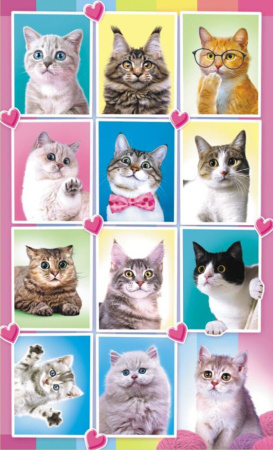 Наклейки детские 16*9см  "Кошки" с блёстками