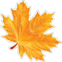 Украшение на скотче 18*18см "Клен жёлтый"