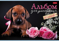 Альбом А4 48л скоба "Наши пёсики"  100 г/м2