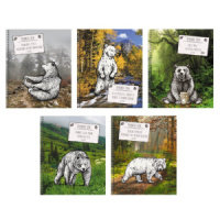 Тетрадь А5  48л кл.  Правила ЗОЖ, гребень, выб.лак