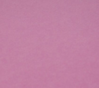 Папка для пастели  А4 10л "Палаццо" фуксия