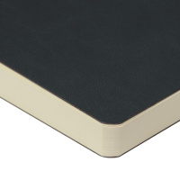 Скетчбук А5 100л., сшивка,100гр/м2, "SKETCHBOOK Sketch&Art. Original. Черный" бежевая