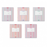 Тетрадь А5 24л кл. Erich Krause "Optima Stripes" ассорти