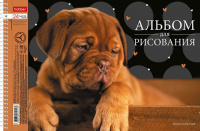 Альбом А4 24л гребень "Ассорти. Выпуск 2", перфорация на отрыв,  пл. 100 гр/м