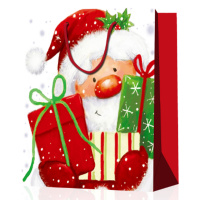 Пакет подар. бум. новогодн. 18*23*10 см 210 гр/м2 "Дед Мороз" микс дизайнов