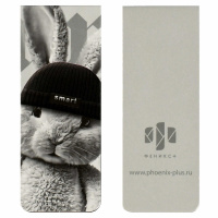 Набор закладок магнитных  2шт., "Звери в шапочках" 30*80мм