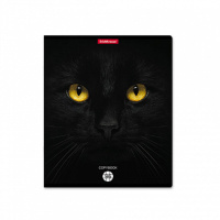 Тетрадь А5  96л кл. Erich Krause "Cats"