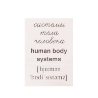 Картинки демонстративные "Тело человека" набор 16 шт. 63*87мм