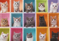 Пазлы 1000 элементов  470*670мм. "Ящики с сюрпризом"