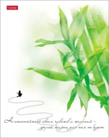 Тетрадь А5  96л кл. Hatber "Нежность" мат.лам., тисн., белизна 100%