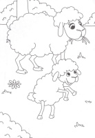 Раскраска "Лучшие друзья" А5 16стр.