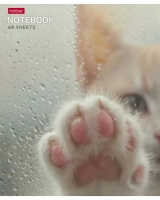 Тетрадь А5 48л кл. Hatber "Розовые лапки" 5 диз.в спайке, белизна 100%