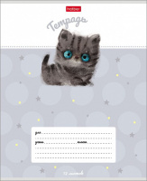 Тетрадь А5 12л кл. Hatber "Кошарики" 5 диз.в спайке, белизна 98%