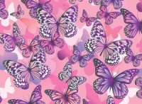 Конверт для подарочного сертификата "Бабочки"