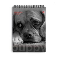 Блокнот А7  40л гребень "Чудо-щеночки" клетка