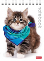 Блокнот А6  40л "Милые котята", гребень