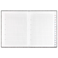 Алфавитная книга А6  80л 7БЦ "Пингвины и гуси" вырубка, лин.