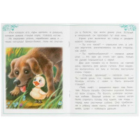 Книжка "Сказки. Андерсен Г.Х. Гадкий утёнок" 16*21см 16стр.