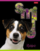 Тетрадь А5  80л кл. Hatber "Улыбнись!" выб.лак.*