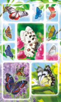 Наклейки детские 16*9см  "Бабочки" с блёстками