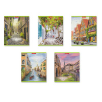 Тетрадь А5 48л  кл.,  "Promenade"