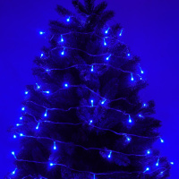 Гирлянда электрическая 10м 80LED светодиодная, прозарчный шнур, вьюн 220В, синий