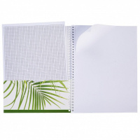 Тетрадь А4  96л без лин. гребень Hatber "Nature" карман,шаблон в кл.и лин.,перф.на отрыв,белизна 98%