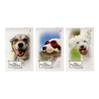 Блокнот А5  40л скоба "Щеночки" клетка