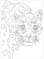 Акварельная раскраска по эскизам А4, 10л. "Животные", блок бумага 200г/м