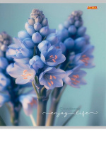 Тетрадь А5  96л кл. Проф-Пресс "Нежные цветы - 15" белизна 87%