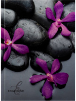 Ежедневник недат. А5  80л., 7БЦ "Цветы на камнях"