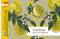 Альбом А4 32 гребень "Ассорти. Выпуск №4" перф.на отрыв, пл. 100 гр/м, 5диз.в блоке