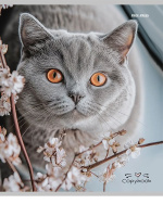 Тетрадь А5  96л кл. Проф-Пресс "Разные домашние коты"