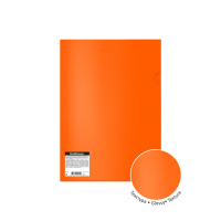 Папка уголок А4 Glossy Neon, полупрозр., ассорти