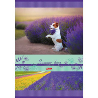 Тетрадь А4  96л кл. скрепка "Summer Days" выб.лак